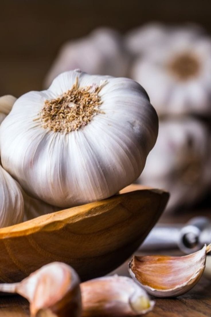 Re Constituted Garlic Oil